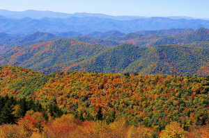 Area Fall color