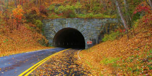Fall - Blue ridge Parkway